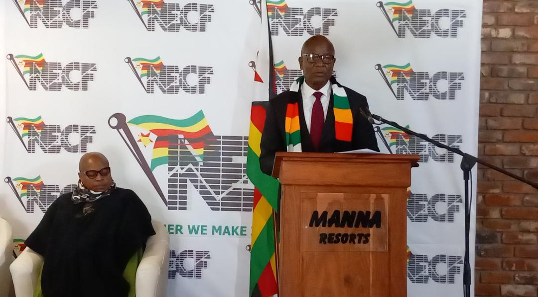 Zimbabwe Moves from Rhetoric to Action in War Against Drug Abuse